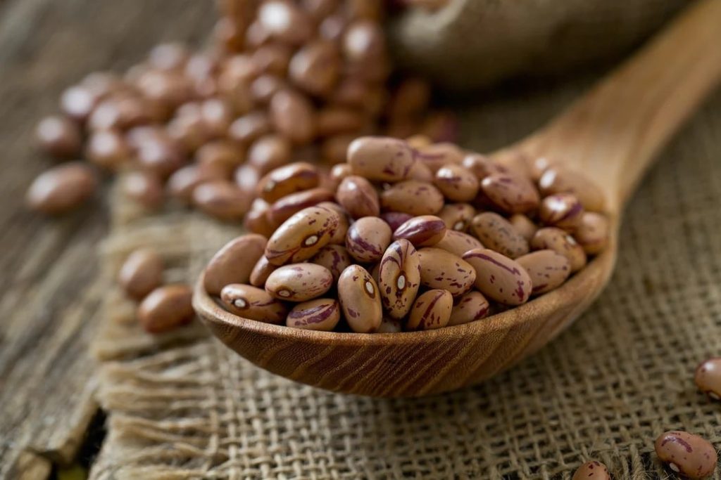 لوبیا چیتی چقدر پروتئین دارد؟ شوک پروتئینی در آشپزخانه! چرا باید جای گوشت را بگیرد؟