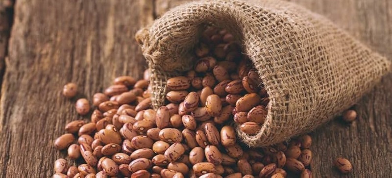 مقدار پروتئین لوبیا چیتی