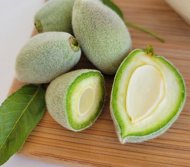 فواید چغاله بادام