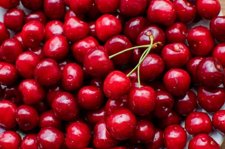 آیا کرم گیلاس ضرر دارد؟
