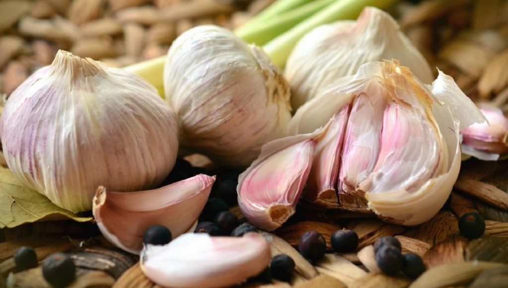 اگر هر روز سیر بخوریم چه اتفاقی برای سلامتی مان می افتد؟