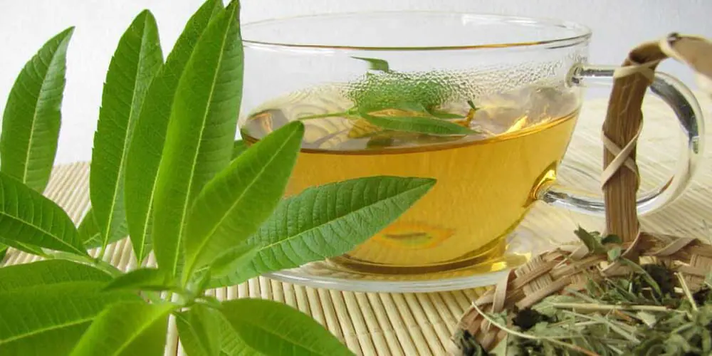 چه کسانی نباید دمنوش به‌لیمو بخورند؟ ترکیبات، فواید، مضرات و میزان مجاز مصرف