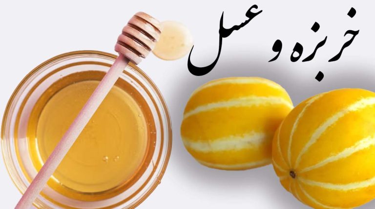 چرا خربزه با عسل نخوریم؟ حقایق و باورهای نادرست درباره این ترکیب