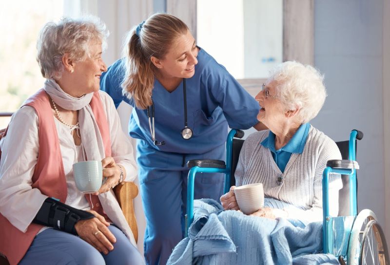 شرایط فیزیولوژیک خاص، زالو درمانی نکنند
