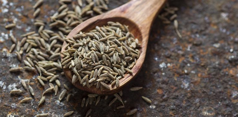 چه کسانی نباید زیره بخورند؟ عوارض و موارد منع مصرف زیره