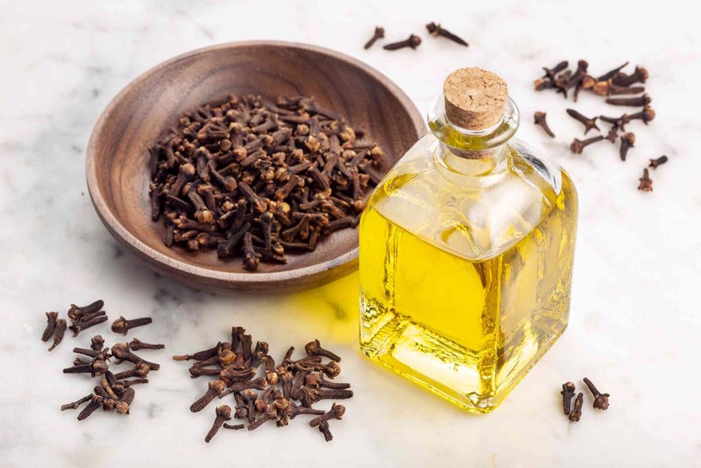طرز استفاده از میخک | خواص، فواید، هشدارها و روش مصرف برای سلامتی