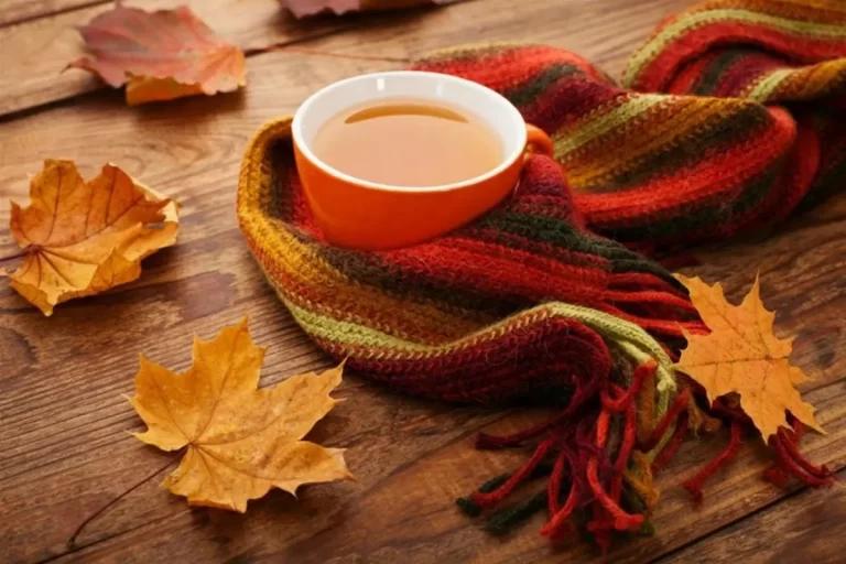 دمنوش برای جلوگیری از سرماخوردگی در پاییز