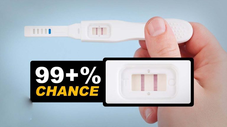 طرز کار با بی بی چک