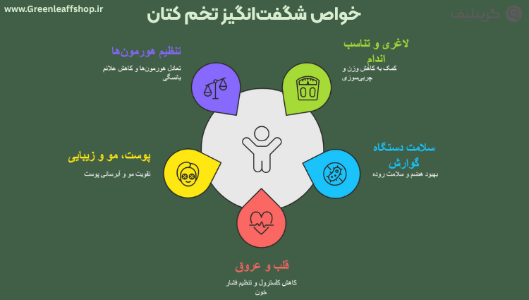 خواص تخم کتان