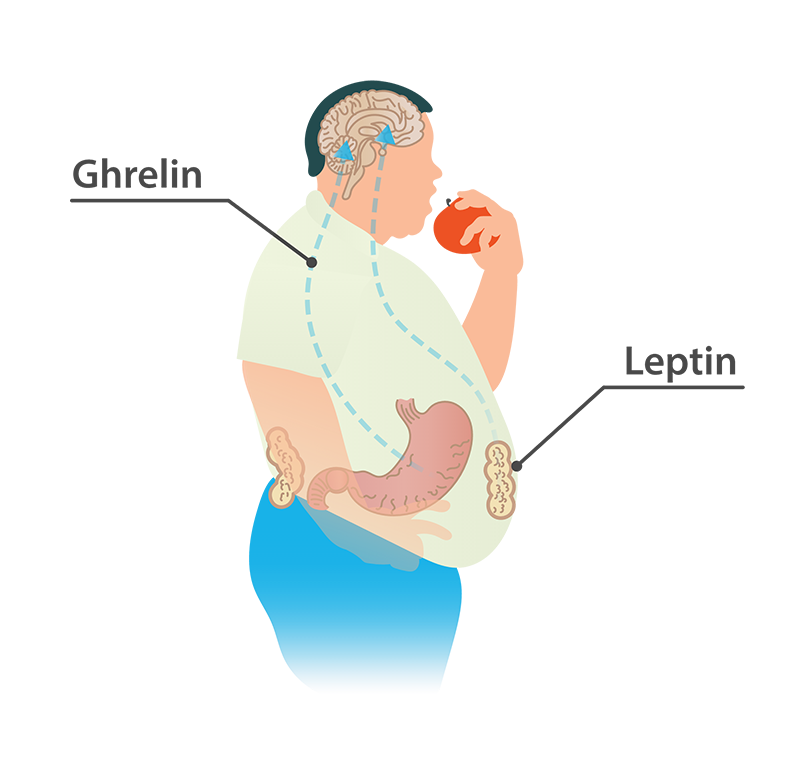 تاثیر خواب زیاد بر هورمونهای اشتها