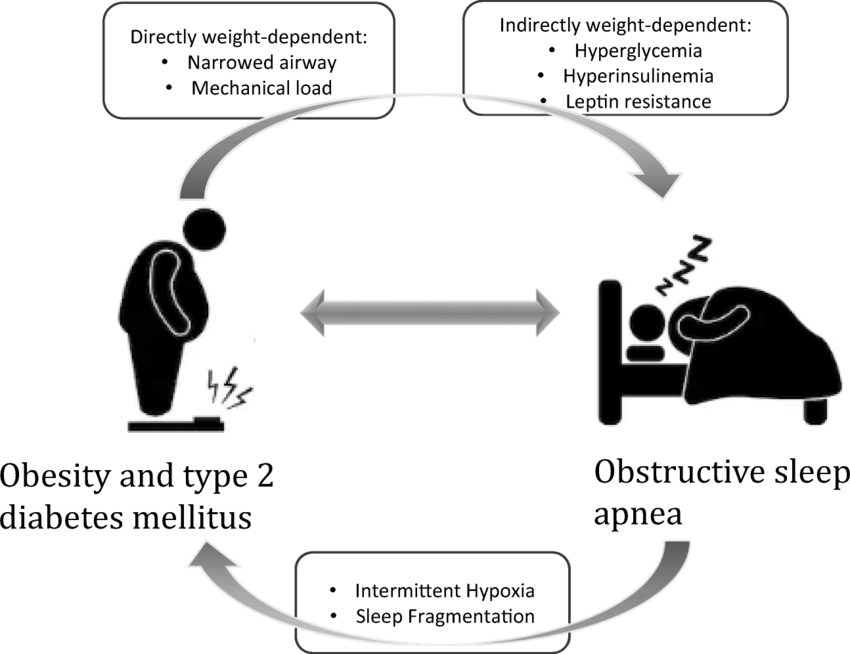 تاثیر خواب زیاد بر چاقی