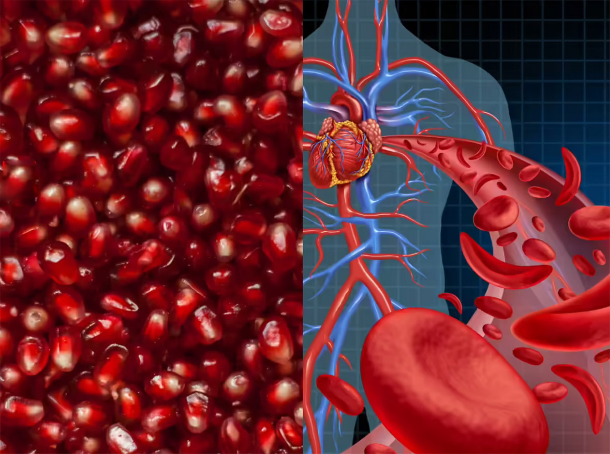انار برای کم خونی؛ آیا انار واقعاً به درمان کم‌خونی فقر آهن کمک می‌کند؟