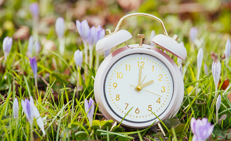 ۲ بعدازظهر مناسب برای چرت بعدازظهر