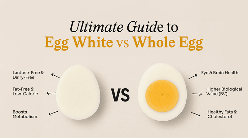 مقایسه زرده و سفیده در کنار هم