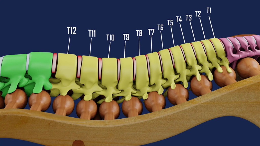 تشک نامناسب؛ قاتل خاموش ستون فقرات