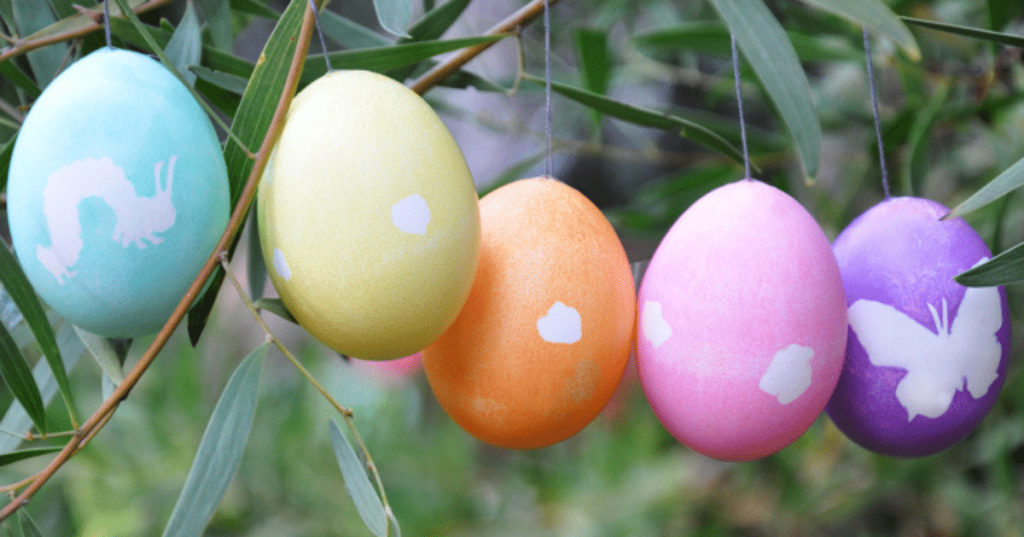 طبع تخم مرغ آب پز