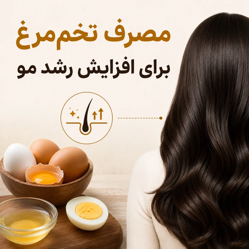 مصرف تخم‌مرغ برای افزایش رشد مو
