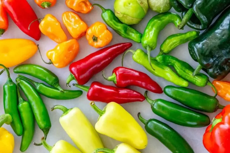 چه کسانی نباید فلفل قرمز یا سیاه بخورند؟