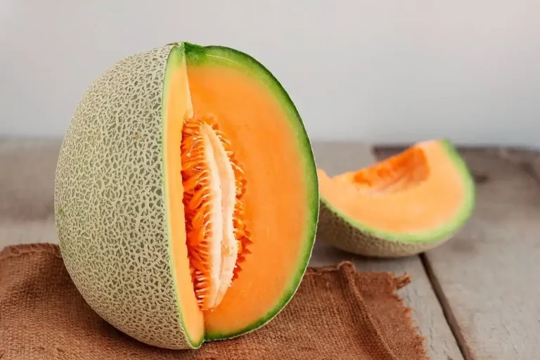 طبع تخمه گرمک سرد است یا گرم