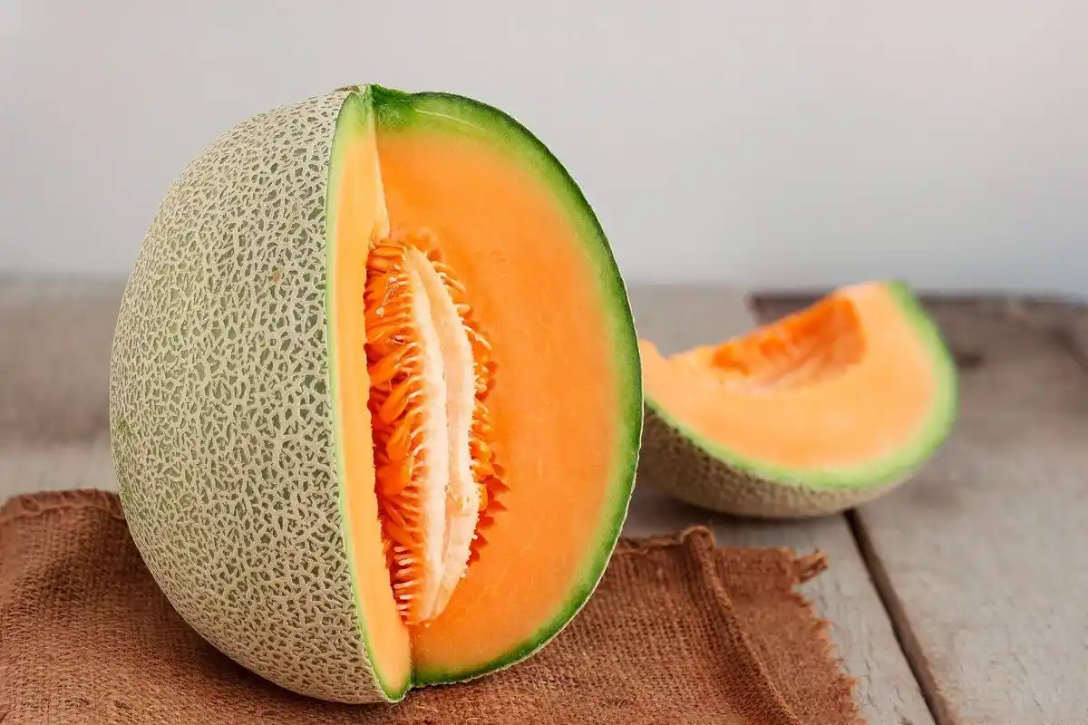 طبع تخمه گرمک سرد است یا گرم