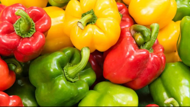چه کسانی نباید فلفل دلمه‌ای بخورند